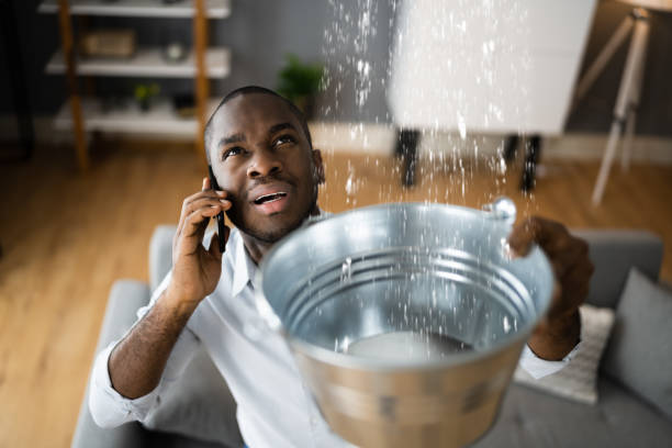 Best Water damage contractors near me  in Tukwila, WA