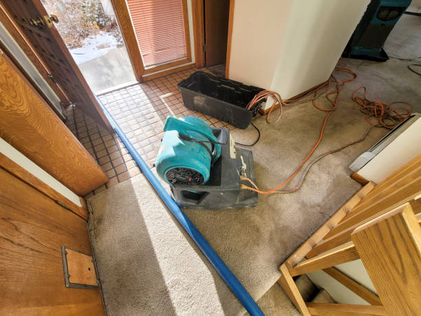 Best Professional water damage repair  in Tukwila, WA