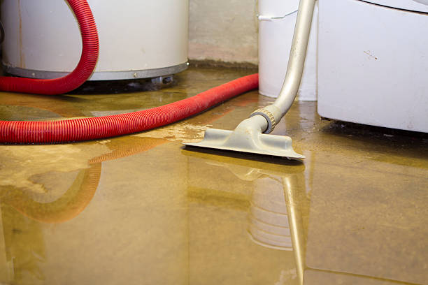 Best Water damage restoration mold remediation  in Tukwila, WA