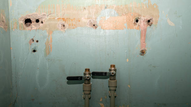 Carpet water damage restoration in Tukwila, WA